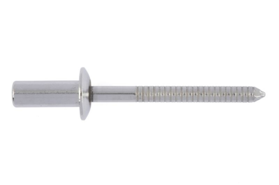 Slepa kovica, ravna glava 