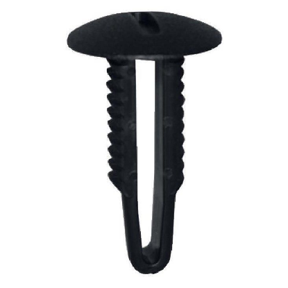 Borovničev posnetek 