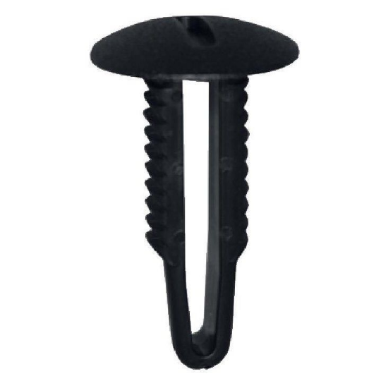 Borovničev posnetek 