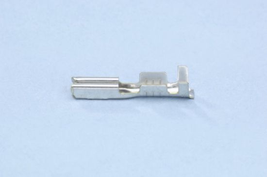 Kabelski čeveljček