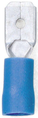 Kabelski čeveljček