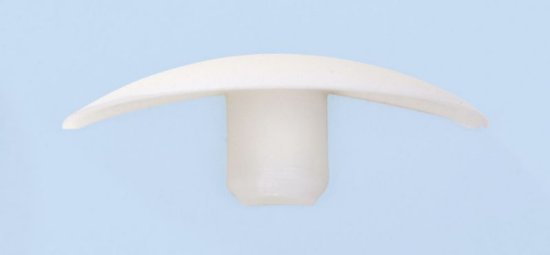 Ploščati pokrovček 