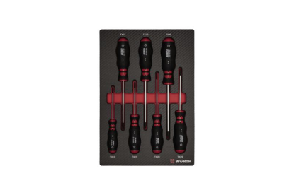 Set TX izvijačev v karbonski peni