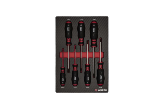 Set TX izvijačev v karbonski peni