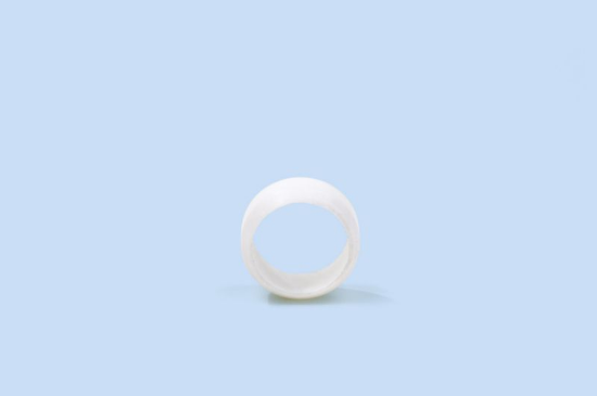 Pritrdilni obroč PTFE