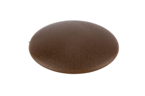 Ploščati pokrovček, 