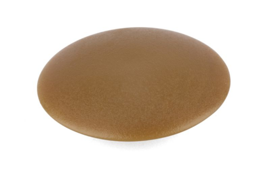 Ploščati pokrovček, 