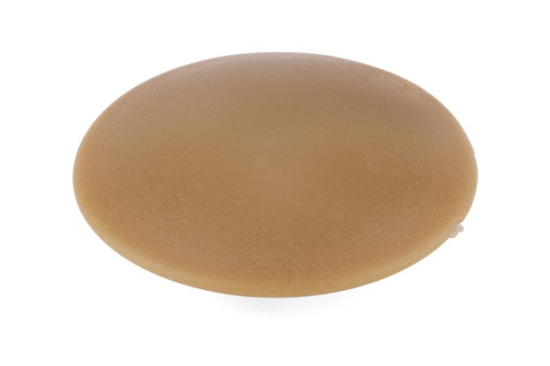 Ploščati pokrovček, 