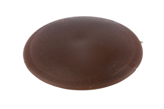 Ploščati pokrovček, 