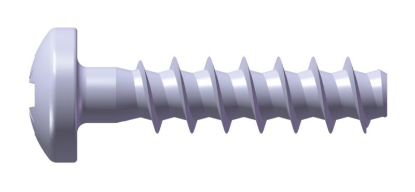 WÜPLAST® vijak s ploščato glavo in Z vdolbeno glavo