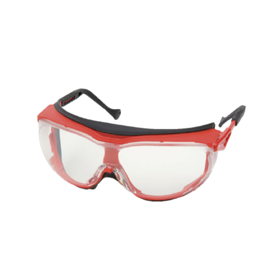Slika Zaščitna očala Wega
