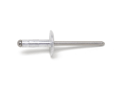 Slepa zakovica, velika ploščata glava 