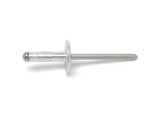 Slepa zakovica, velika ploščata glava 