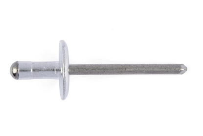 Slepa zakovica, velika ploščata glava 