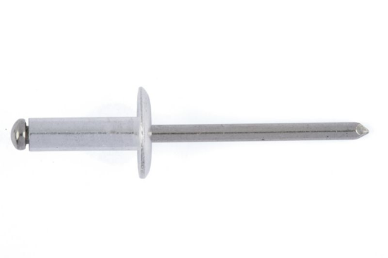 Slepa zakovica, velika ploščata glava 