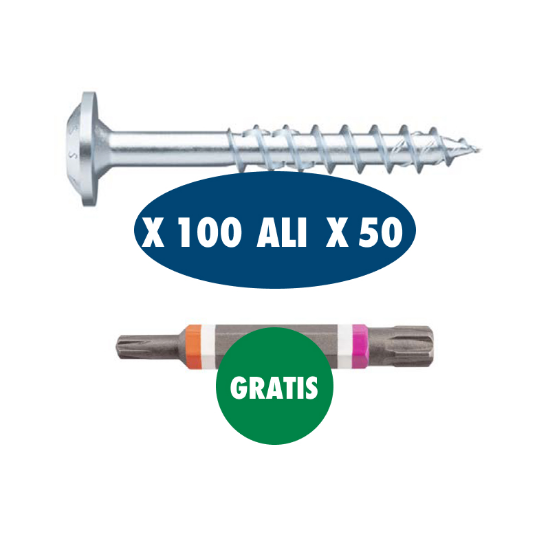 Slika TESARSKI VIJAK ASSY4 S KROŽNO GLAVO + GRATIS DVOJNI NASTAVEK RW20/40