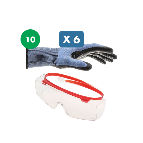 Slika Set 6 x protiurezne rokavice (level F, vel. 10) in zaščitna očala s pokritimi stranicami Libra